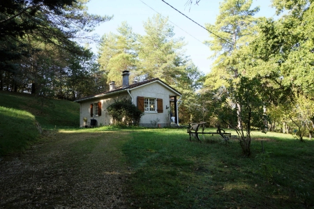 Country Cottage with 1 Hectare of Land